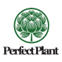Atlanta, Georgia, United States agency SEO Nursery helped Perfect Plant grow their business with SEO and digital marketing
