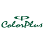 India agency Cybez helped ColorPlus grow their business with SEO and digital marketing